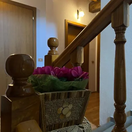 Molla Hotel